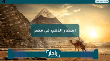 بين التراجع والاستقرار.. إليك أسعار الذهب في مصر بمختلف العيارات اليوم 19 إبريل 2025